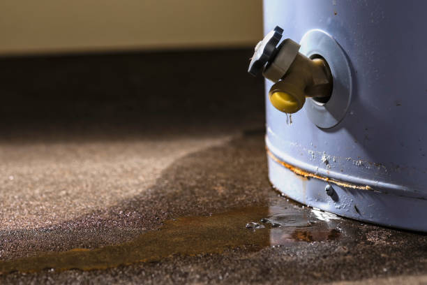 Best Flooded house restoration  in Biggs, CA