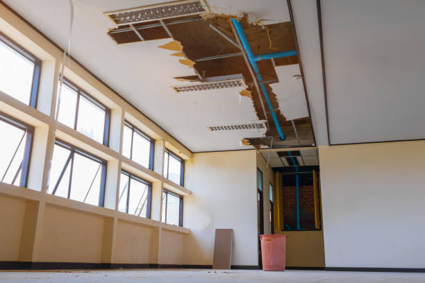 Best Fire Damage Restoration  in Biggs, CA