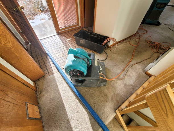Best Sewage cleanup and water damage restoration  in Biggs, CA