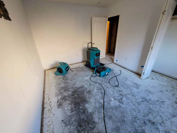 Trusted CA Water damage restoration Experts