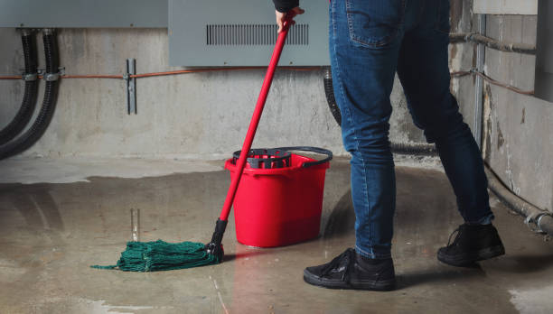 Best Emergency water damage restoration  in Biggs, CA