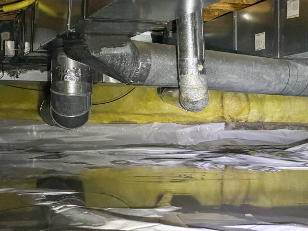 Best Water damage restoration near me  in Biggs, CA