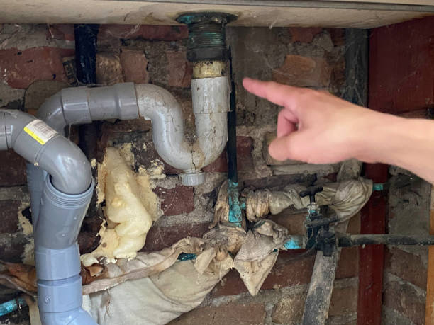 Best Mold removal after water damage  in Biggs, CA