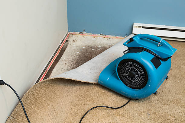 Best Carpet water damage restoration  in Biggs, CA
